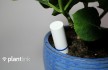 plantlink-jan13